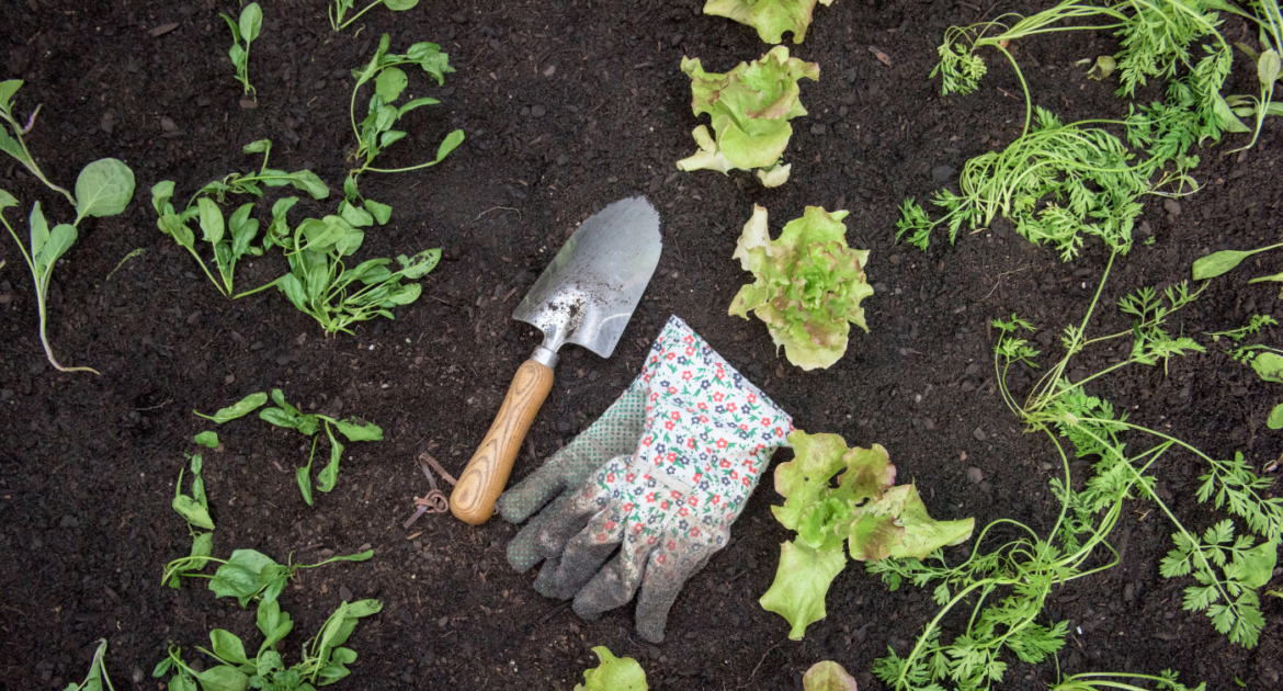 kartony dla ogrodnictwa dla bezpiecznego i wygodnego transportu owoców i warzyw kartony dla ogrodnictwa dla bezpiecznego i wygodnego transportu owoców i warzyw