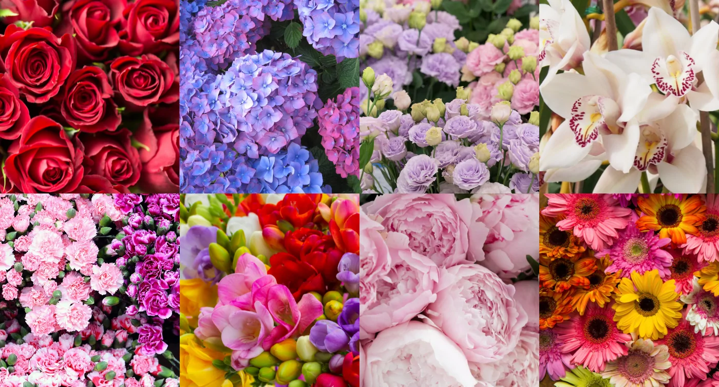 kwiaty do flower box