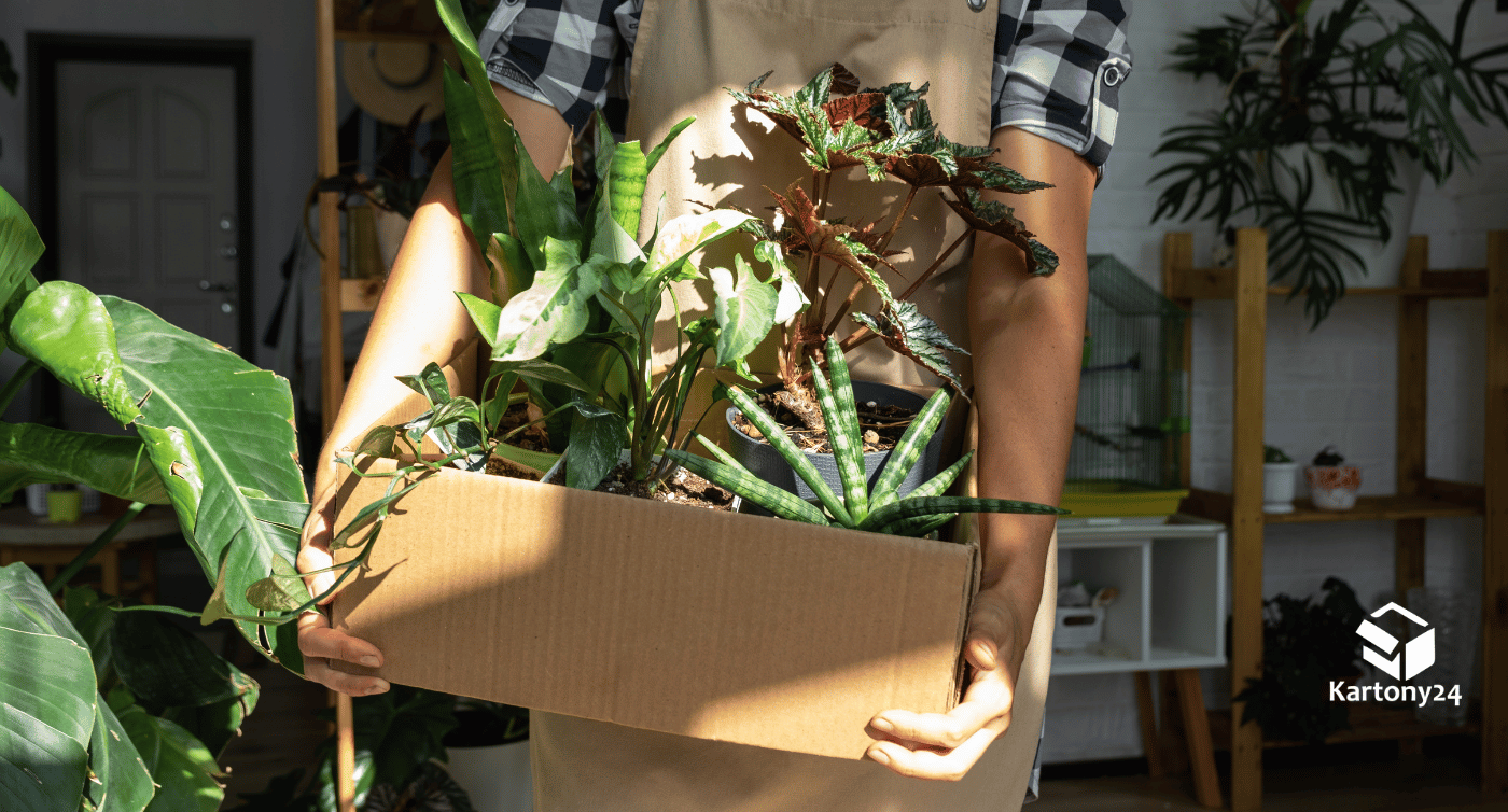 opakowania ogrodnicze